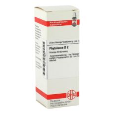 PHYTOLACCA D 2 Dilution (PZN 01311914)