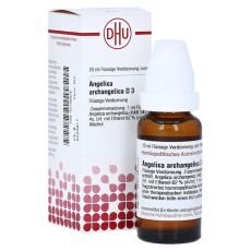 ANGELICA ARCHANGELICA D 3 Dilution (PZN 07158879)