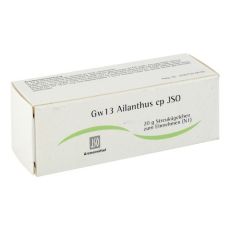 JSO Gw 13 Ailanthus cp Globuli (PZN 04943313)
