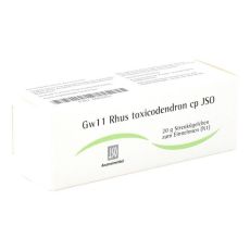 JSO Gw 11 Rhus toxicodendron cp Globuli (PZN 04943201)