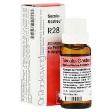 SECALE-GASTREU R28 Mischung (PZN 01372910)