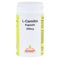 L-CARNITIN 500 mg Kapseln (PZN 03386796)