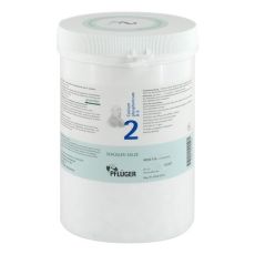 BIOCHEMIE Pflüger 2 Calcium phosphoricum D 6 Tabl. (PZN 06318803)