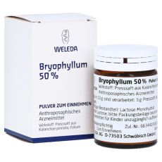BRYOPHYLLUM 50% Pulver zum Einnehmen (PZN 02591904)