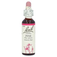 Bachblüten Pine Tropfen (PZN 00125925)