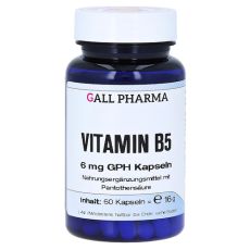 VITAMIN B5 6 mg GPH Kapseln (PZN 09323271)