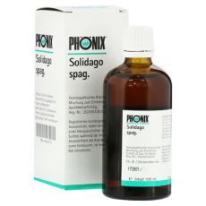 PHÖNIX SOLIDAGO spag.Mischung (PZN 04223731)