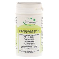 PANGAM Vitamin B15 Kapseln (PZN 02164504)