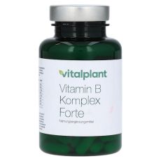 VITAMIN B COMPLEX Forte Vitalplant Kapseln (PZN 12504326)
