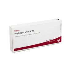 DIAPHRAGMA PELVIS GL D 6 Ampullen (PZN 02917010)