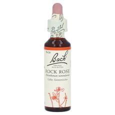Bachblüten Rock Rose Tropfen (PZN 00146784)