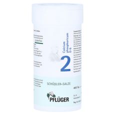 BIOCHEMIE Pflüger 2 Calcium phosphoricum D 6 Tabl. (PZN 06318789)