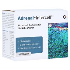 Adrenal-intercell Kapseln (PZN 11316315)