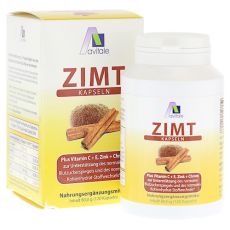 Avitale Zimt Kapseln 500 mg (PZN 03884672)