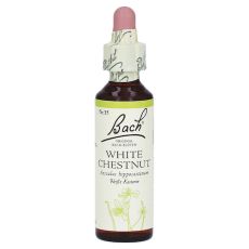 Bachblüten White Chestnut Tropfen (PZN 00170104)