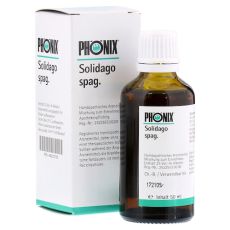 PHÖNIX SOLIDAGO spag.Mischung (PZN 04223725)