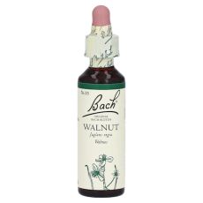 Bachblüten Walnut Tropfen (PZN 00164919)