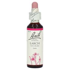 Bachblüten Larch Tropfen (PZN 00064595)