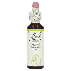 Bachblüten Olive Tropfen (PZN 00125919)