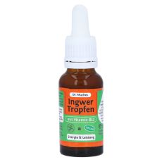 INGWERTROPFEN+Vitamin B12 Dr.Muches (PZN 14291107)