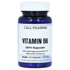 VITAMIN B6 GPH 2,0 mg Kapseln (PZN 03379520)