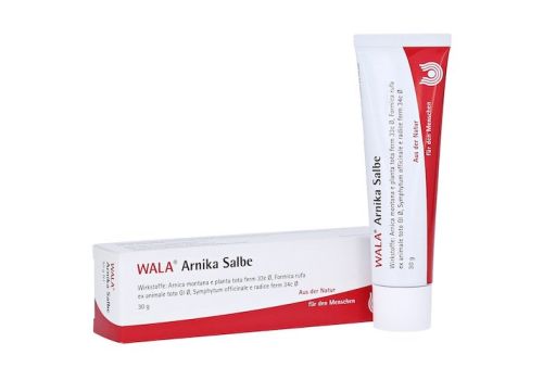 Arnika Salbe – PZN 02198147 (PZN 02198147)