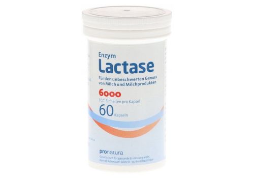 LACTASE 6.000 FCC Kapseln – PZN 09545238 (PZN 09545238)