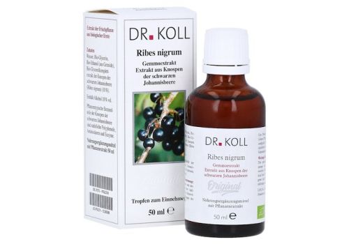 Gemmoextrakt Schwarze Johannisbeere Tropfen – PZN 09762510 (PZN 09762510)