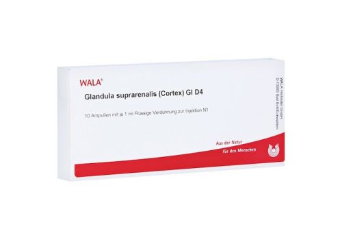 GLANDULA SUPRARENALIS cortex GL D 4 Ampullen – PZN 02829903 (PZN 02829903)