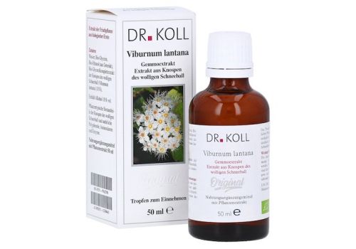 GEMMOEXTRAKT wolliger Schneeball Tropfen – PZN 09762705 (PZN 09762705)