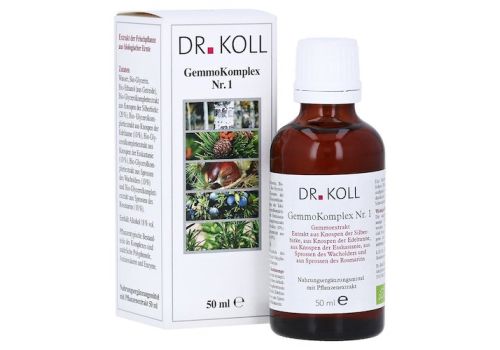 GEMMOKOMPLEX Nr.1 Tropfen zum Einnehmen – PZN 11123332 (PZN 11123332)