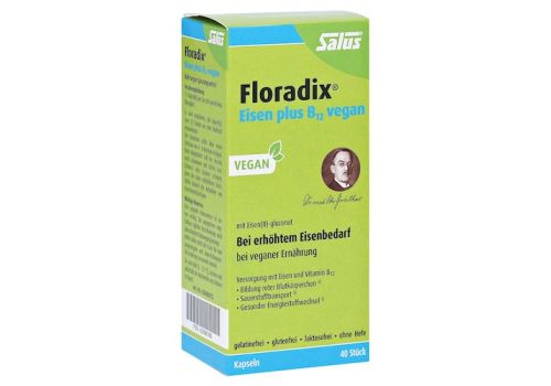 Floradix Eisen plus B12 vegan Kapseln – PZN 05566166 (PZN 05566166)