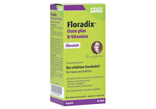 Floradix Eisen plus B Vitamine Kapseln – PZN 07764261 (PZN 07764261)