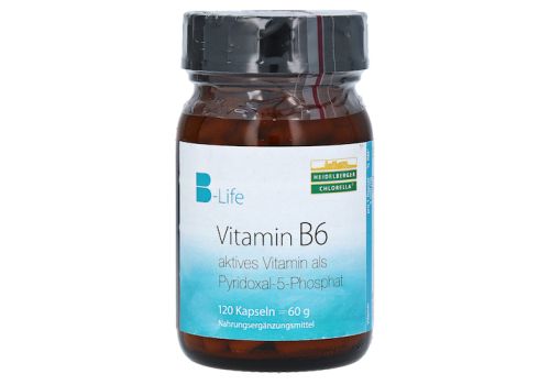 VITAMIN B6 KAPSELN – PZN 07537737 (PZN 07537737)