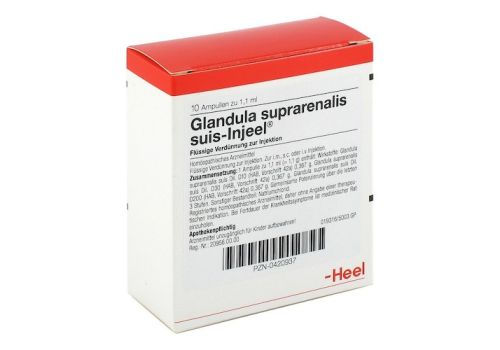 GLANDULA SUPRARENALIS suis Injeel Ampullen – PZN 00420937 (PZN 00420937)