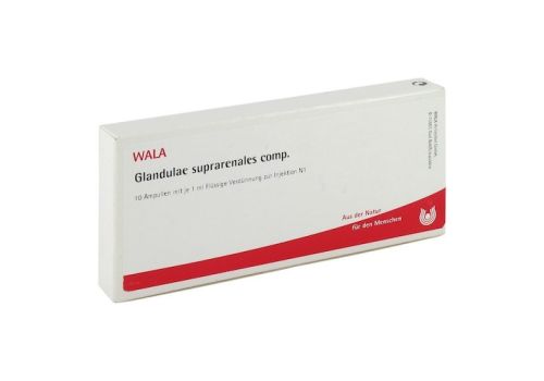 GLANDULAE SUPRARENALES comp.Ampullen – PZN 01751501 (PZN 01751501)