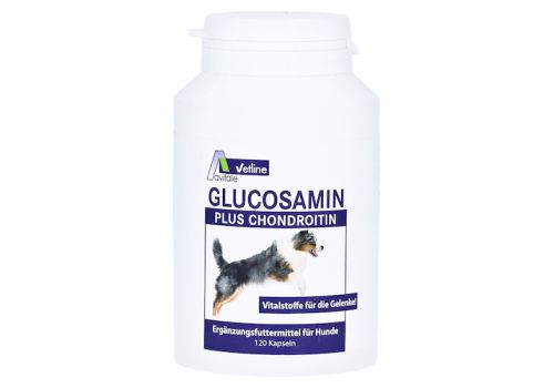Avitale Glucosamin + Chondroitin für Hunde – PZN 03025791 (PZN 03025791)