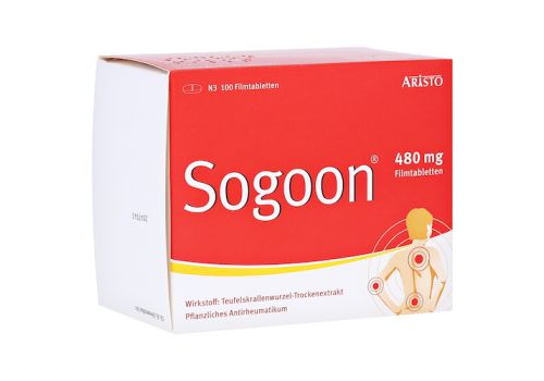 Sogoon 480mg – PZN 00017851 (PZN 00017851)