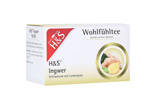 H&S Ingwer Filterbeutel – PZN 06582405 (PZN 06582405)