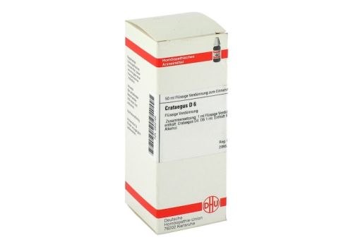 CRATAEGUS D 6 Dilution – PZN 02802169 (PZN 02802169)