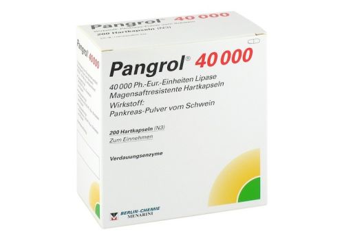 Pangrol 40000 – PZN 02537856 (PZN 02537856)