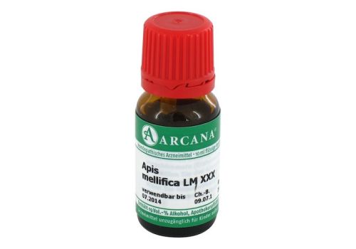 APIS MELLIFICA LM 30 Dilution – PZN 03503598 (PZN 03503598)