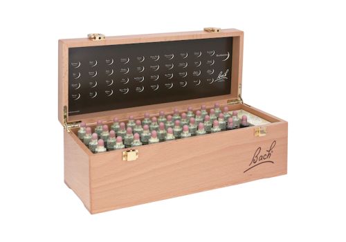 BACHBLÜTEN 20 ml Set Tropfen – PZN 00039692 (PZN 00039692)